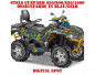 Preview: Digital Spot Blau-Gelb für Stels Guepard 650/800/850/1000